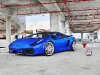 Blue Lamborghini Gallardo on HRE P43SC Wheels 003